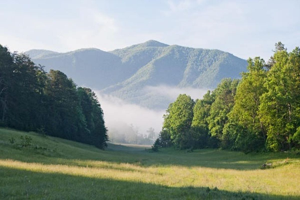 Sights of the Smokies: Full Day Tour - Photo 1 of 4